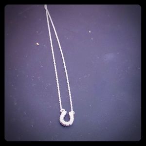 A Horseshoe diamond encrusted necklace